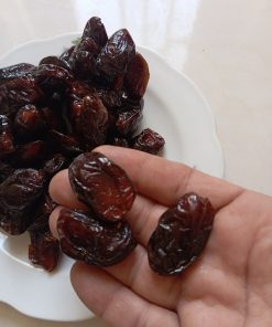 2026061000105192scaledjpg نخل کنجدی عرضه کننده محصولات جنوب و محصولات وارداتی با کیفیت